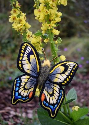 Jocelyn Erskine-Kellie