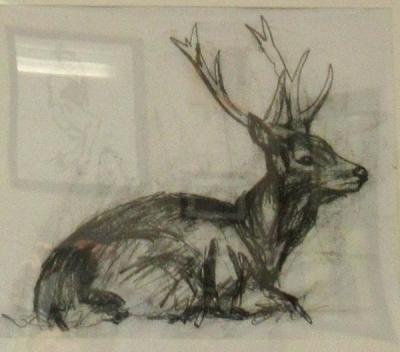 Stag Study