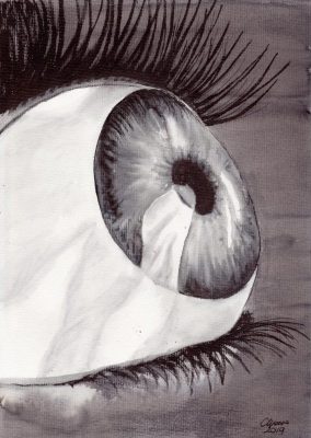 Human Eye