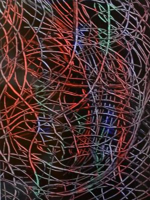 Inner Space Entanglement