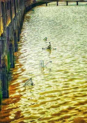 Unexpected Item in the Thames 